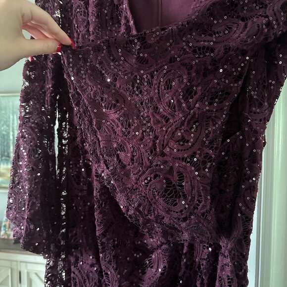 SD Collection Eggplant Lace Long sleeve Dress with Sequins (Size 16) - Picture 3 of 8
